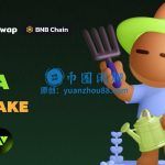 币安BNB智能链的明星币种：CAKE币的特点分析