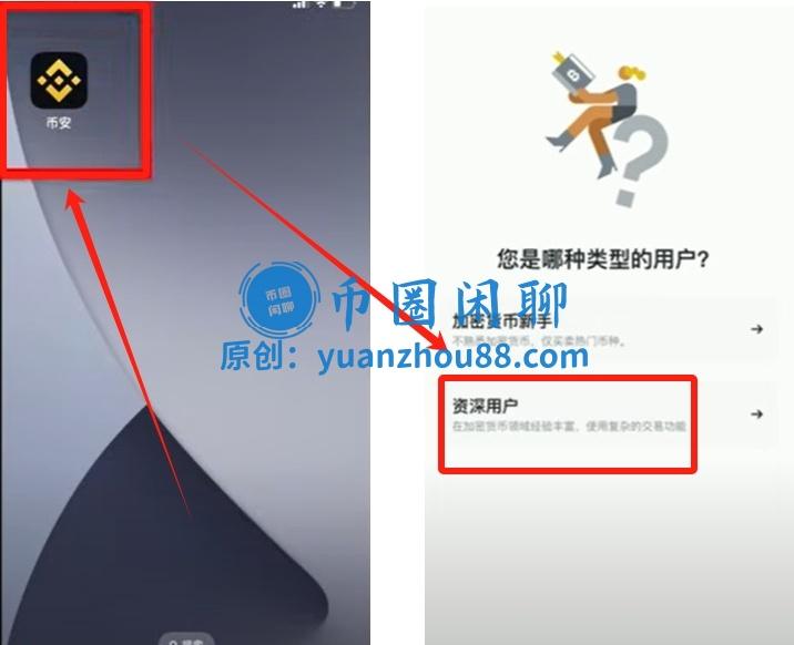 专业版