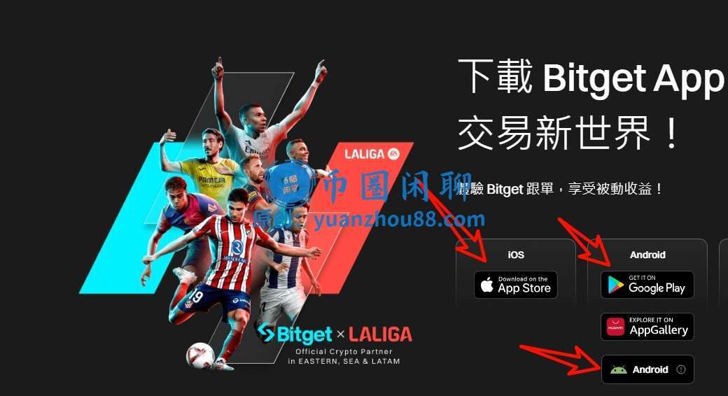 Bitgte下载