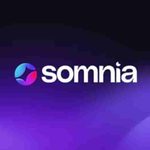 SOMI代币价格2026年-2030年预测：Somnia消费级L1值得关注吗？